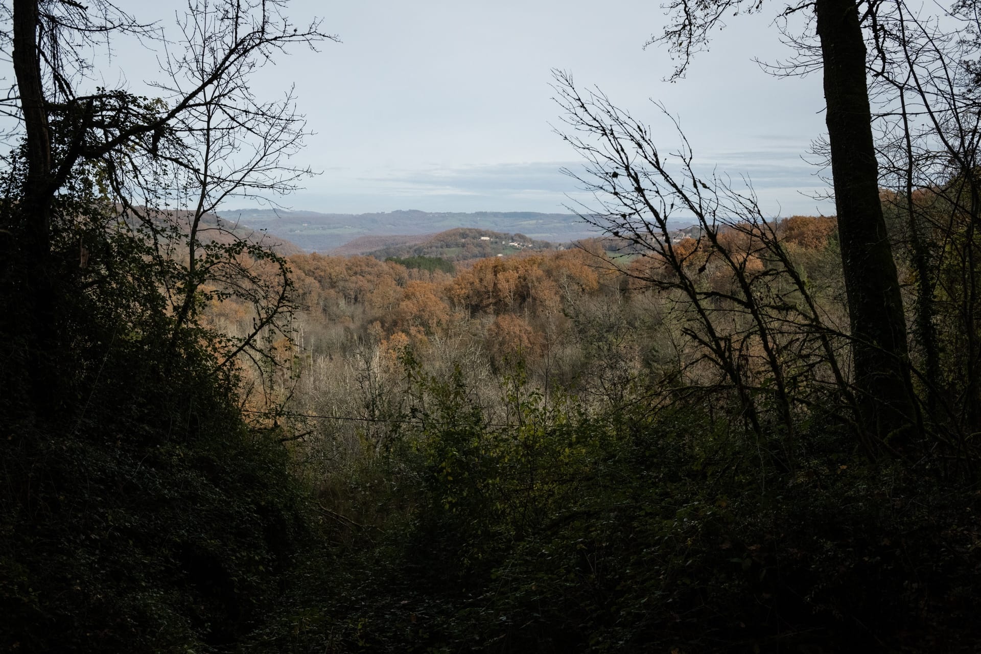 la baronne paysage